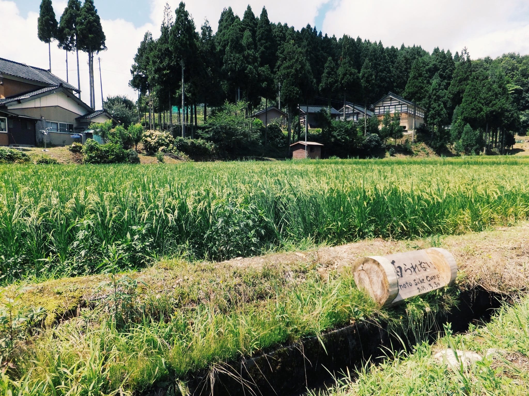 刈ったお米は、奥能登の伏流水を使い、奥能登珠洲市産米100%のお酒になります。昨年のキャンプで生育された「石川門」でつくったお酒は、北陸新幹線のファーストクラスといわれる「グランクラス」で提供されたのだそう。