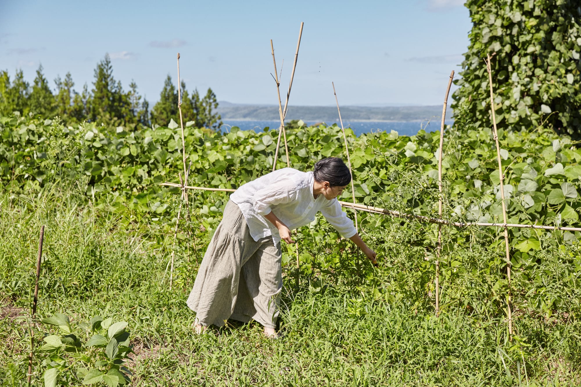 「のて農」を実践しているのは、能登島の魅力に出会って2013年に移住をしたイラストレーターの本田有希子さん。本田さんは現在、「のとじま手まつり」の中心スタッフとして事務作業を一手に担っている。写真：阿部 健