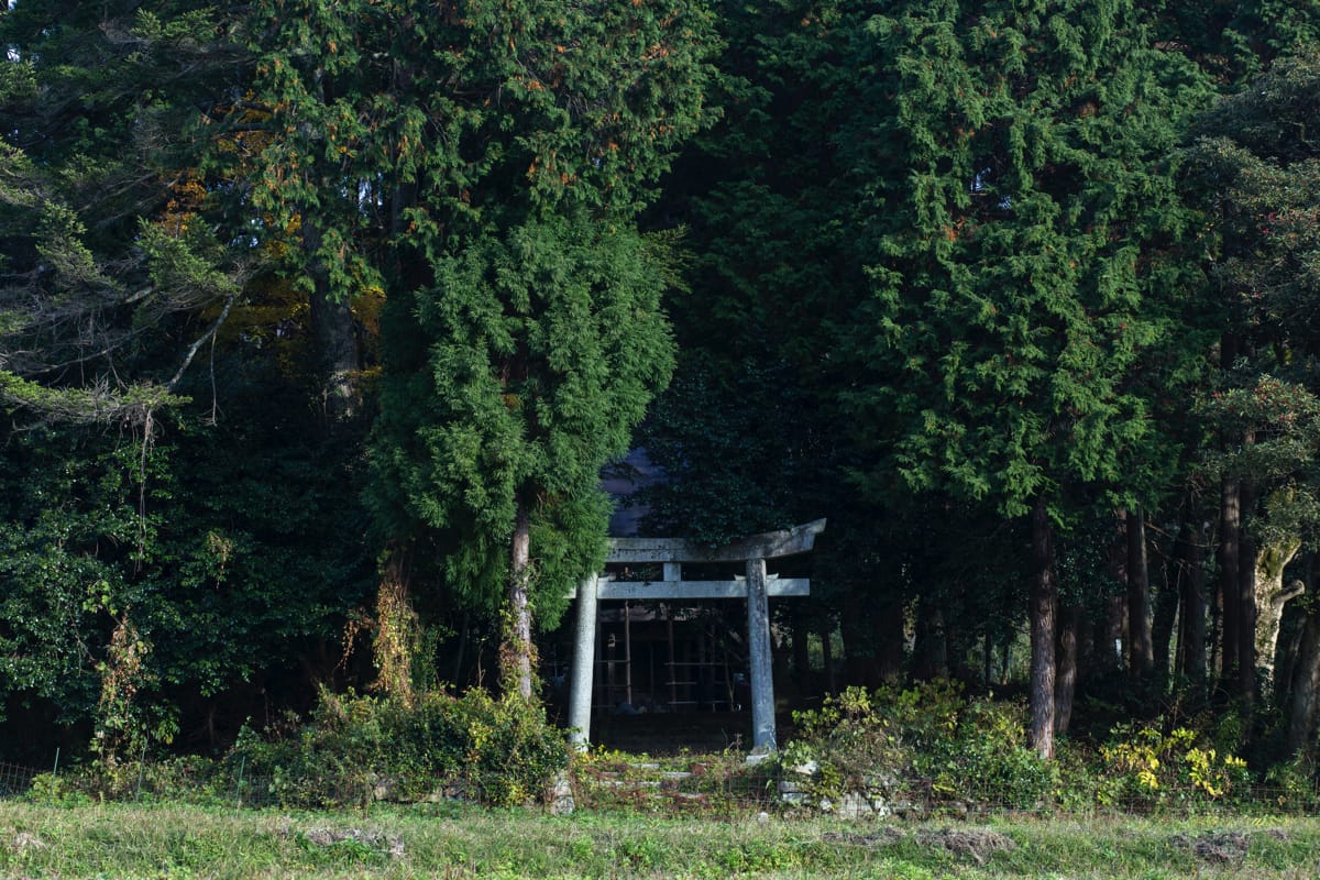 上世屋の入り口にある“村のお宮さん”こと世屋姫神社。「あ、神さまがいたはる」という雰囲気を感じる。